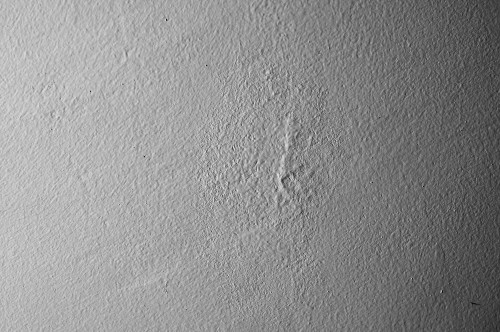 Quand il a repeint le plafond, j’ai senti que cet excès de peinture ne se résorberait jamais.