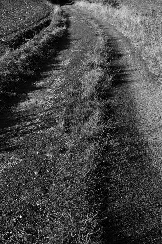 C'est une route abandonnée...