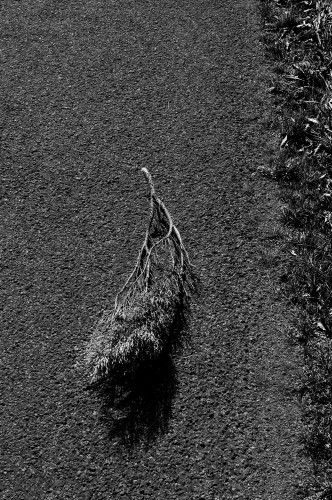 Pourquoi aller jusqu'à Saint-Brancher ? Peut-être faut-il m'arrêter ici ? Ou bien au contraire, est-ce comme un signe de piste, la preuve que je suis sur la voie ?