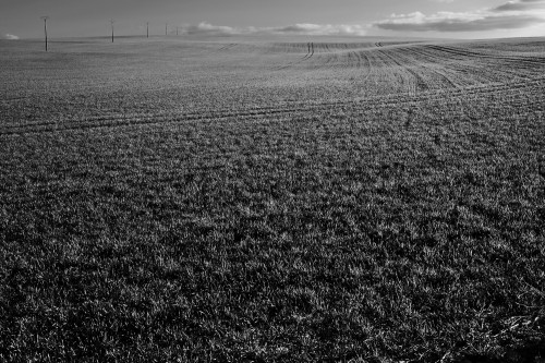 Cette colline n'a pas le moindre intérêt…