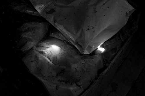 Yeux de feu