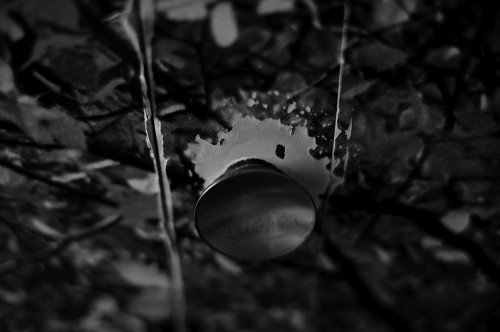 d'une manière ou d'une autre.