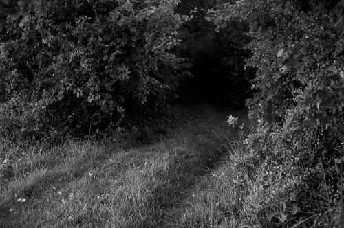Un chemin inattendu