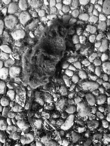 …Sans laisser de traces.