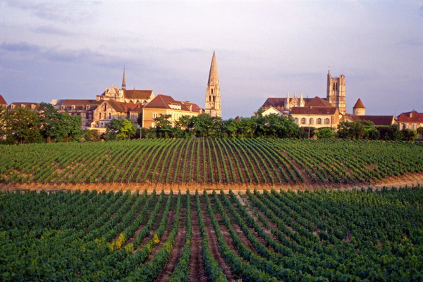 Auxerre 100